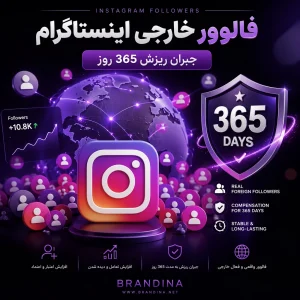 فالوور خارجی اینستاگرام (جبران ریزش 365 روز)
