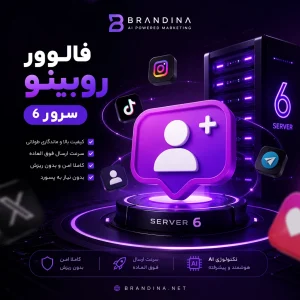فالوور روبینو (سرور 6) | قیمت برای ۱۰۰ عدد