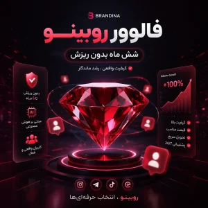 فالوور روبینو (شیش ماه بدون ریزش) | قیمت برای ۵۰ عدد