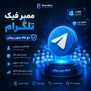 ممبر فیک تلگرام (دو ماه بدون ریزش)