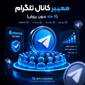 ممبر کانال تلگرام (6 ماه بدون ریزش)